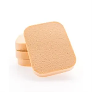 Powder sponge