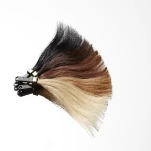 Hair Clip