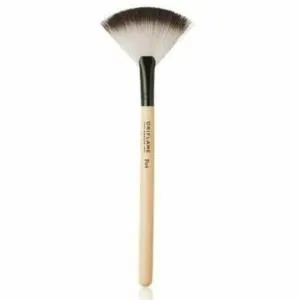 Fan Brush