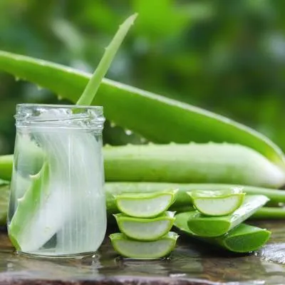 Hand Sanitizer dari Lidah Buaya dan Minyak Esensial