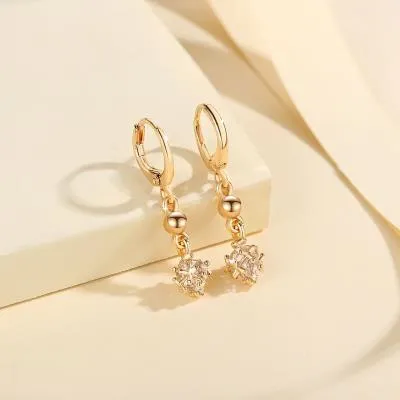 Apa Itu Anting?