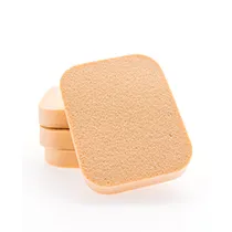 Powder sponge