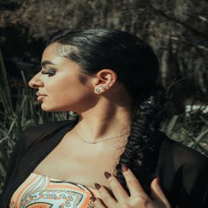 Pexels Nicolás Reyes 12798039