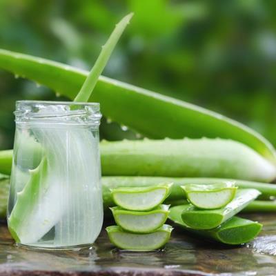 Hand Sanitizer dari Lidah Buaya dan Minyak Esensial