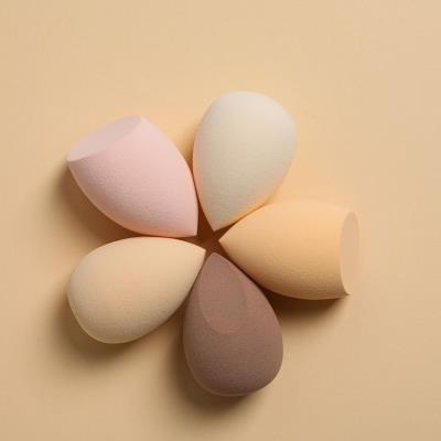 Biarkan Spons Kering Secara Alami