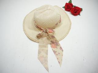 topi vm 568 13011057918.JPG