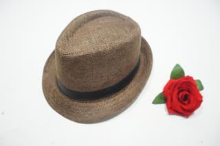 topi hr 2 19014958883.JPG