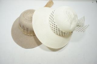 topi hr 104 29032646768.JPG