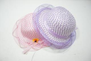 topi hr 66 29041056817.JPG